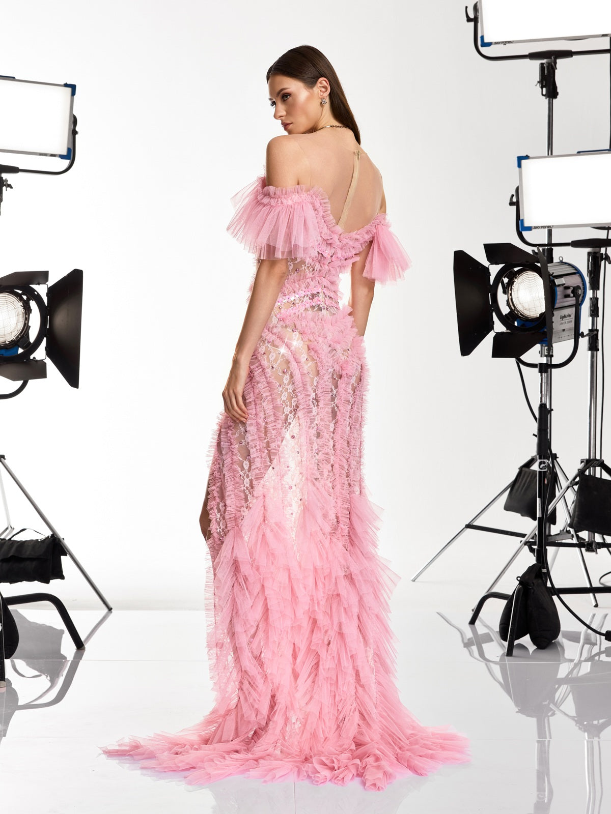 Daenerys Tulle Trimmed Crystal Maxi Dress - Image 6