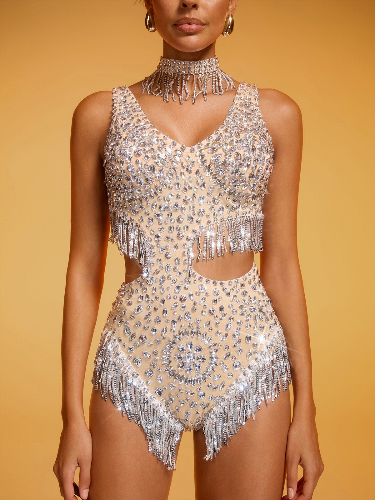Didyme Crystal Fringe Cutout Bodysuit In Silver - Image 6